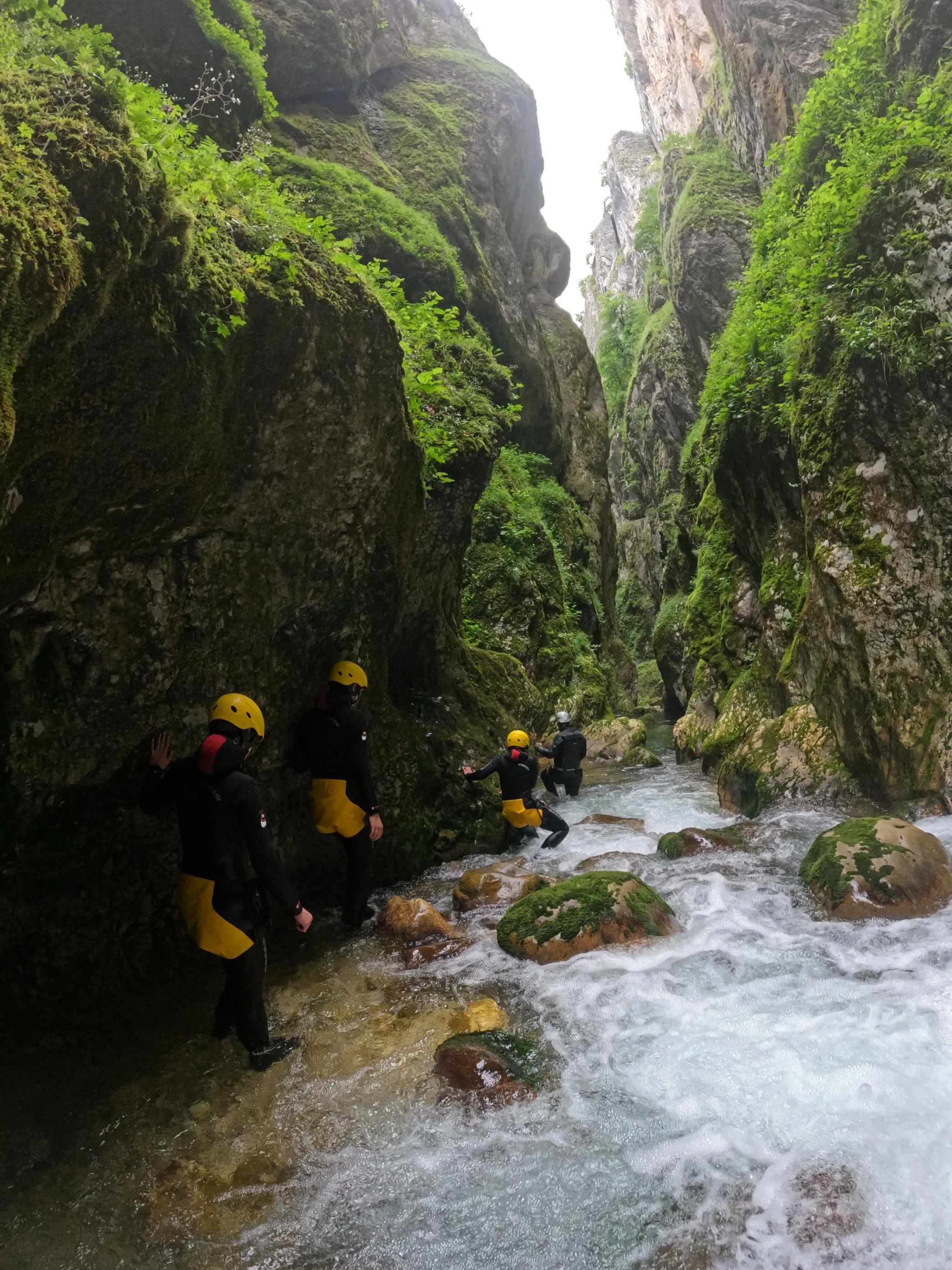 The Geology, Wildlife, and Natural Wonders of Nevidio Canyon — Nevidio Canyon, Montenegro